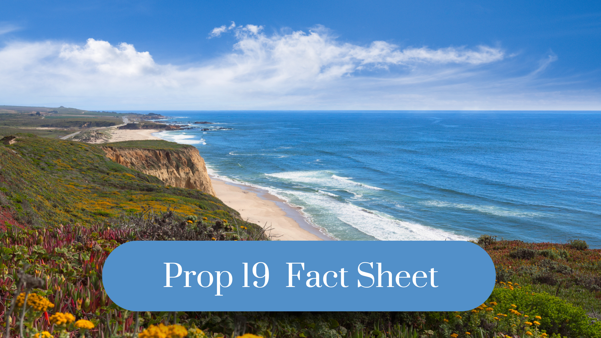 Prop 19 Fact Sheet Wayne Cory